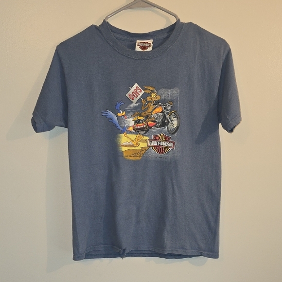 Harley-Davidson Looney Tunes Blue Graphic Tee - Picture 1 of 7